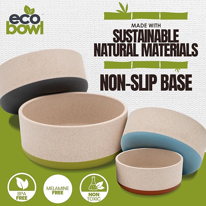 Palz&Co EcoBowl with Lid for Dogs & Cats, 48 oz Green - Natural Bamboo Pet Bowl with Non-Slip Base, Pet Food and Water Dish, Dishwasher Safe