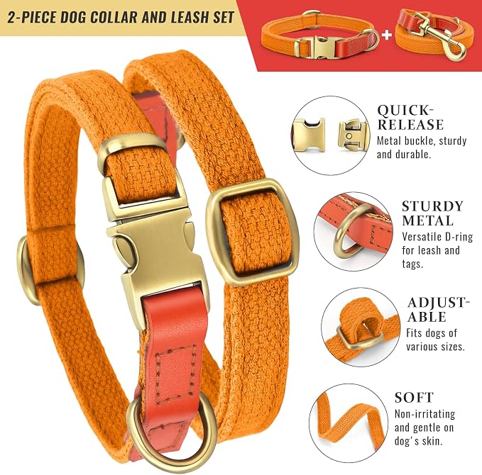 Dog Collar and Leash Set with Metal Quick Release Buckle, Adjustable, Breathable Nylon, Durable, Soft and Comfortable, No Pull for Walking and Training, Orange, M (12.5"-19.6")