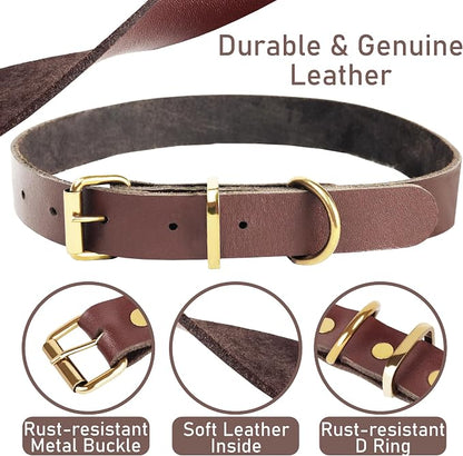 Heavy Duty Genuine Leather Dog Collar and Leash Set - 5ft Soft and Durable With Metal Buckle - Adjustable, Compatible for Small to Medium Dogs
