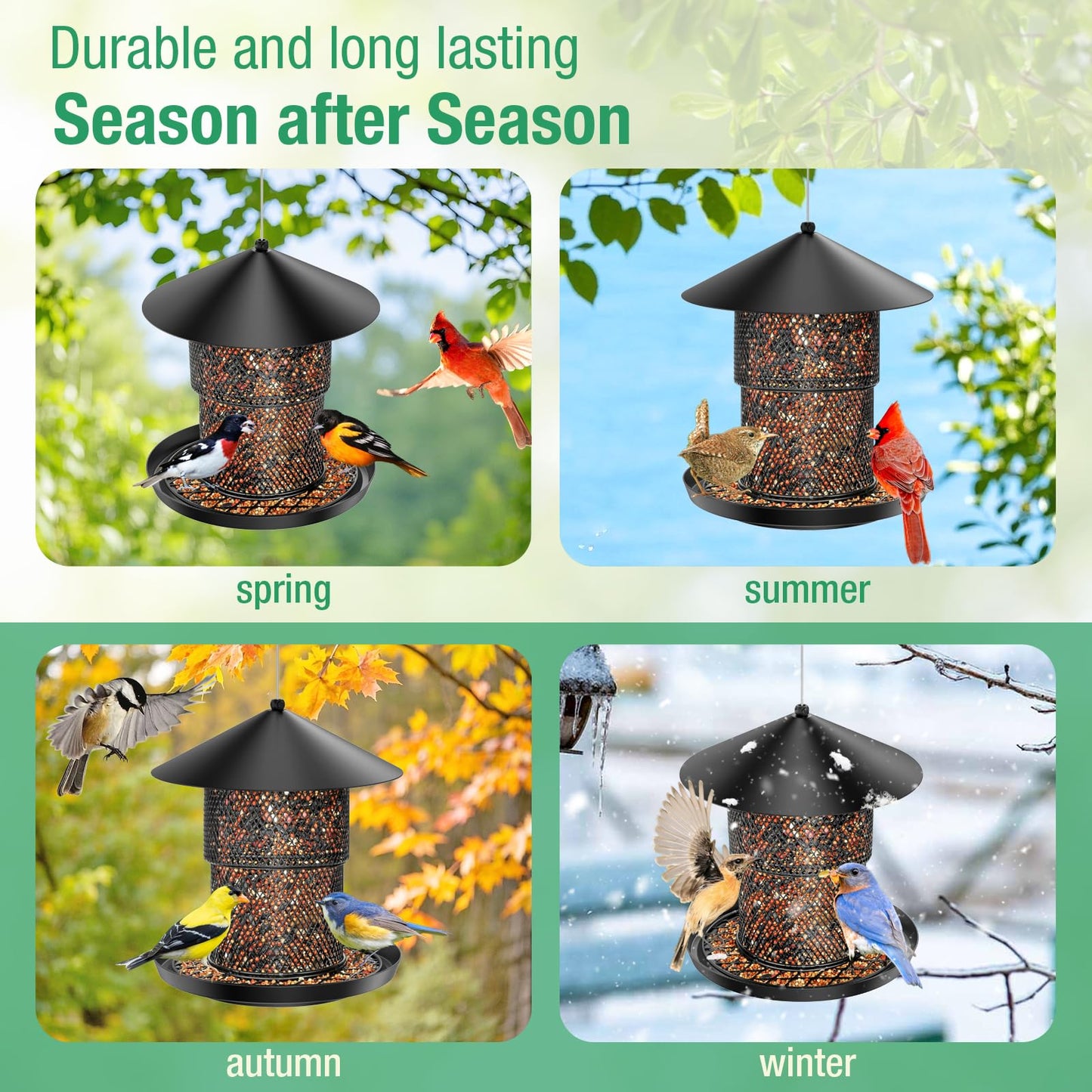 Bird Feeder for Outdoor Hanging, No Mess No Spill and Squirrel Proof Feeder