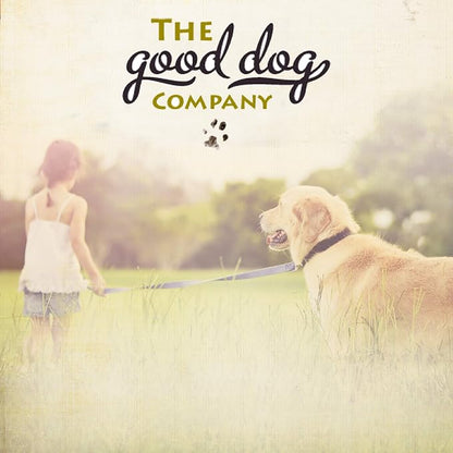 Hemp Corduroy Dog Collar Available in 9 Colors (Rust, Marigold, Bronze, Avocado, Blue, Plum, Pink, Red, Black) Sold in 6 Sizes (3/4" Small, Rust)