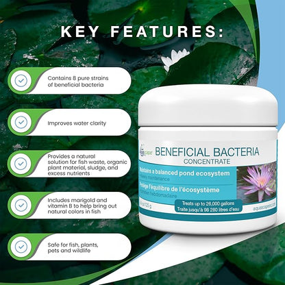 Aquascape Dry Beneficial Bacteria for Pond and Water Features, 8.8 Ounce (Pack of 1), 98948 , white
