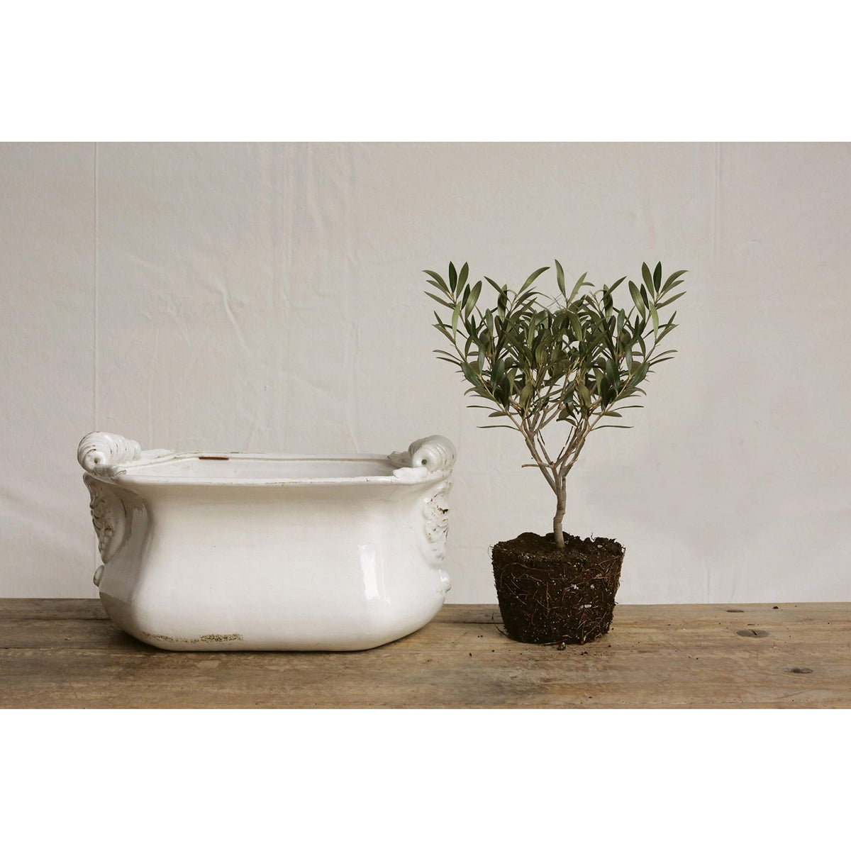 White Terracotta Cache Pot