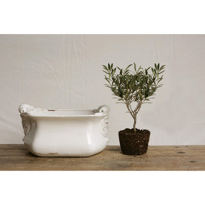 White Terracotta Cache Pot