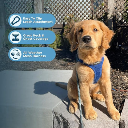 Best Pet Supplies Voyager Step-in Air All Weather Mesh Harness and Reflective Dog 5ft Leash Combo with Neoprene Handle, for Small, Medium and Large Breed Puppies - Royal Blue, XX-Small