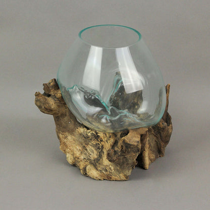 Things2Die4 Large Molten Glass Sculptural Bowl / Plant Terrarium On Natural Driftwood Base, Brown, 10 Inch