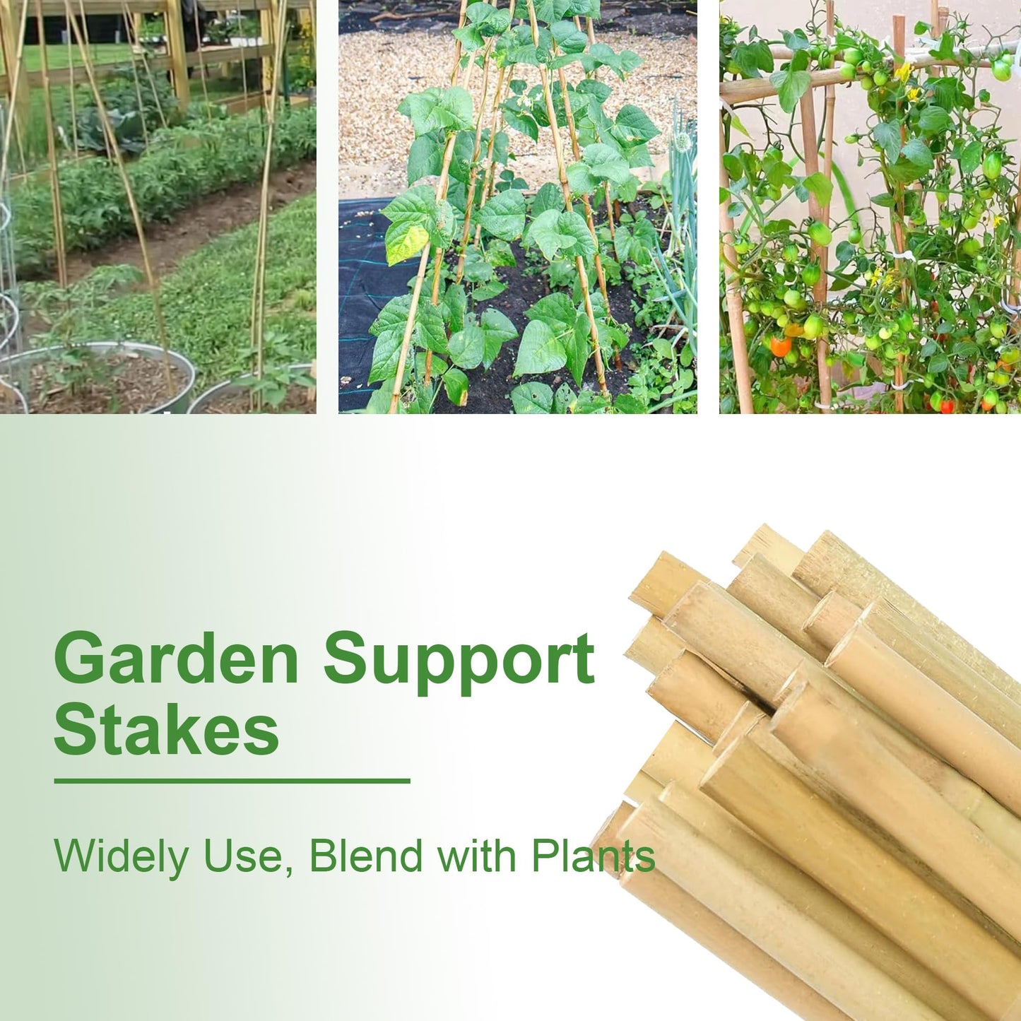 Garden Stakes 4ft, Natural Bamboo Stakes 4 Feet, Thicker Sturdy Plant Stakes 25 Pack for Tomatoes, Beans, Flowers, Potted and More Climbing Plants