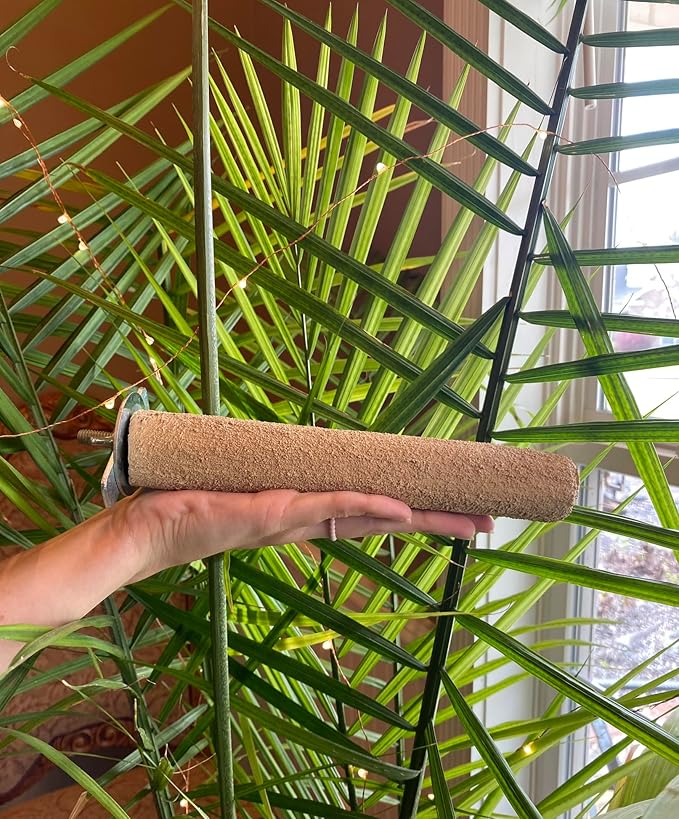 Polly's Pastels Nail Trimming & Beak Conditioning Safety Perch for Cockatiels, Cockatoos, Macaws, Parakeets, Budgies, Parrots and All Other Birds (Brown, Large-1 1/2" Dia. x 9" Long)