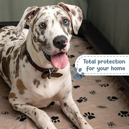EZwhelp Reusable Dog Pee Pads, Washable Waterproof Mats for Potty Training or Whelping Pads, Puppy Pad with Rounded Corners, 27.5x29.5 Inch, 2 Pack