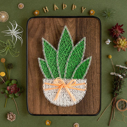 BAZIMA DIY String Art Kit for Beginner,DIY Aloe Potted Craft Kit,Unique Gift,Craft Kit for Holidays