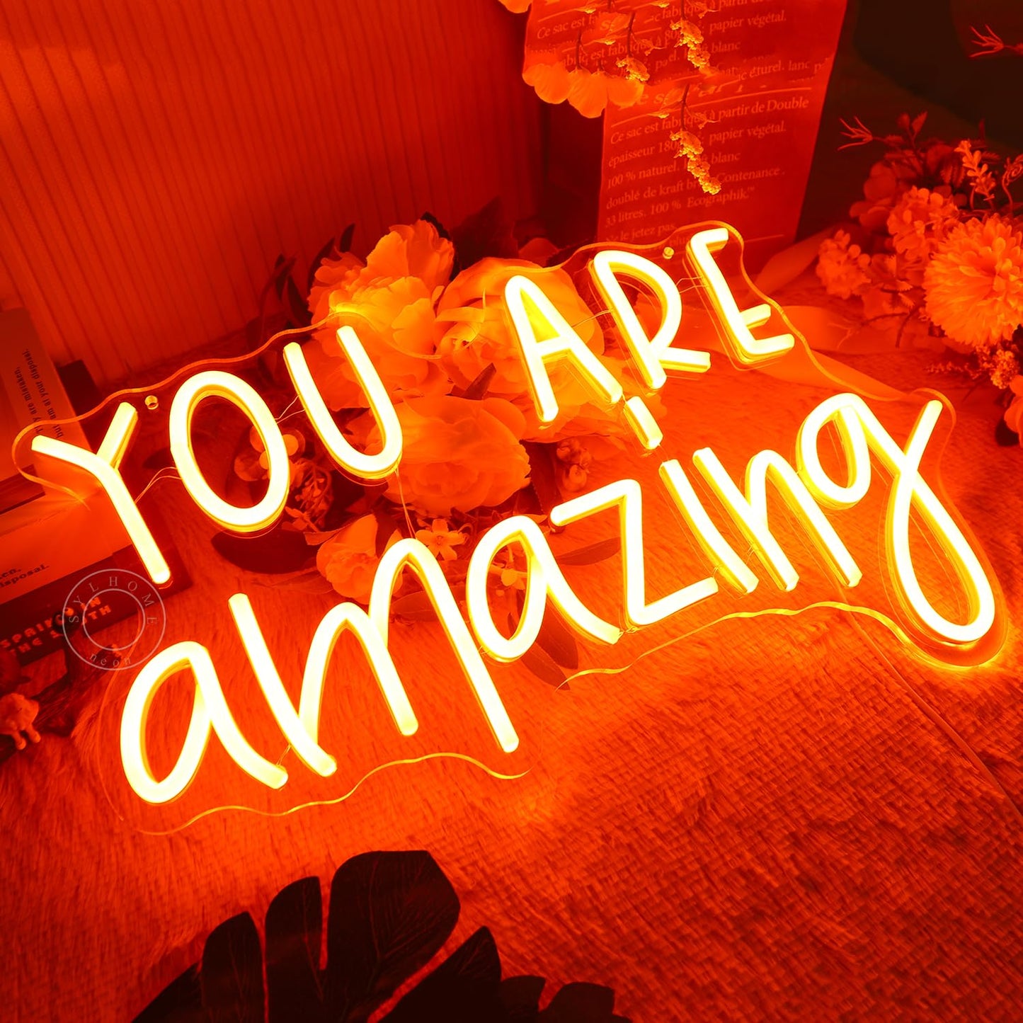 SYLHOME You Are Amazing LED Neon Light Sign 5V Girls Boys Bedroom Living Room Classroom Wall Decor Sign Hanging Smart Kid Birthday USB 16.9" X 10.6" Warm White