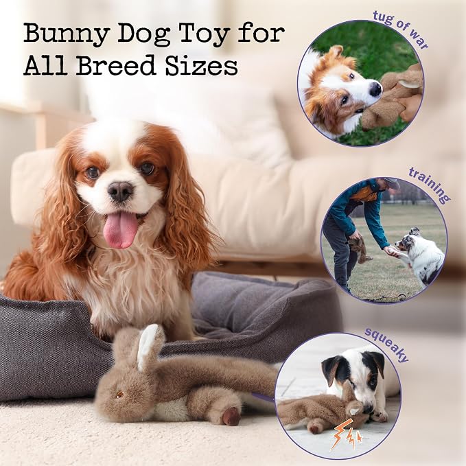 Fuzzwoof No-Stuffing Bunny Squeaky Dog Toy, Cute Plush Puppy Teething Toy to Keep Them Busy, Rabbit Interactive Tug of War & Dental Chew for Small Medium Large Dogs