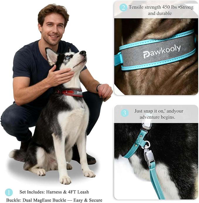 MagEase Dog Collar with 4FT Leash | Adjustable | Anti-Wrinkle, Bite & Stain-Resistant Leather | Soft & Skin-Friendly | 450LB Escape-Proof Magnetic Buckle (Light Blue, Small)