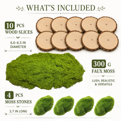 Fbidfoll 10 Wood Slices with Faux Moss, Moss Table Decor Centerpiece Kit