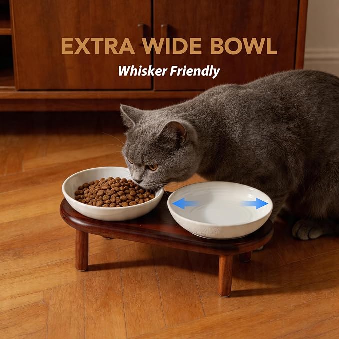 Havniva Elevated Cat Bowls Raised Ceramic Cat Bowl, 5.7” Wide Opening Cat Food Bowl Whisker Friendly Cat Dish Anti-Slip with Wood Stand, Shallow Pet Food & Water Bowl for Indoor Cats