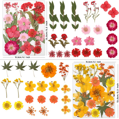 LUXEEASE 80 Pcs Dried Flowers for Crafts, Real Natural Dried Pressed Flowers in Vibrant Colors for Resin, DIY Art, Jewelry, Candle & Soap Making – Tweezers Included