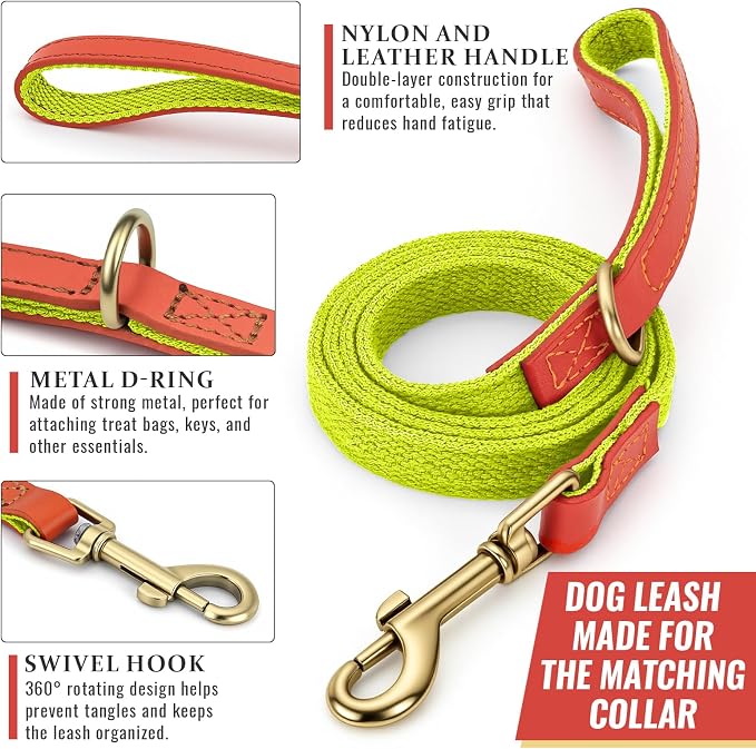 Dog Collar and Leash Set with Metal Quick Release Buckle, Adjustable, Breathable Nylon, Durable, Soft and Comfortable for Walking and Training, Fluorescent Yellow, M (12.6"-19.6")