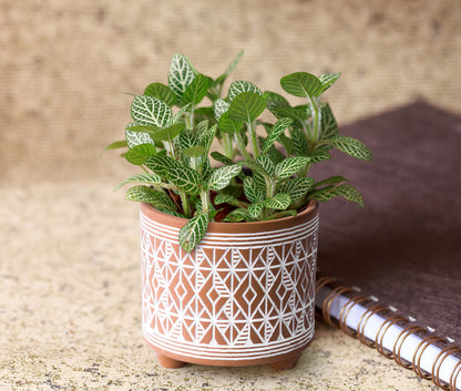 D'vine Dev Set of 2 Terracotta Planter Pots, 4 Inch & 6 Inch, Design Plants Pot with Drainage Hole, Savanna Weave, Terracotta/White, 31-953-G-1