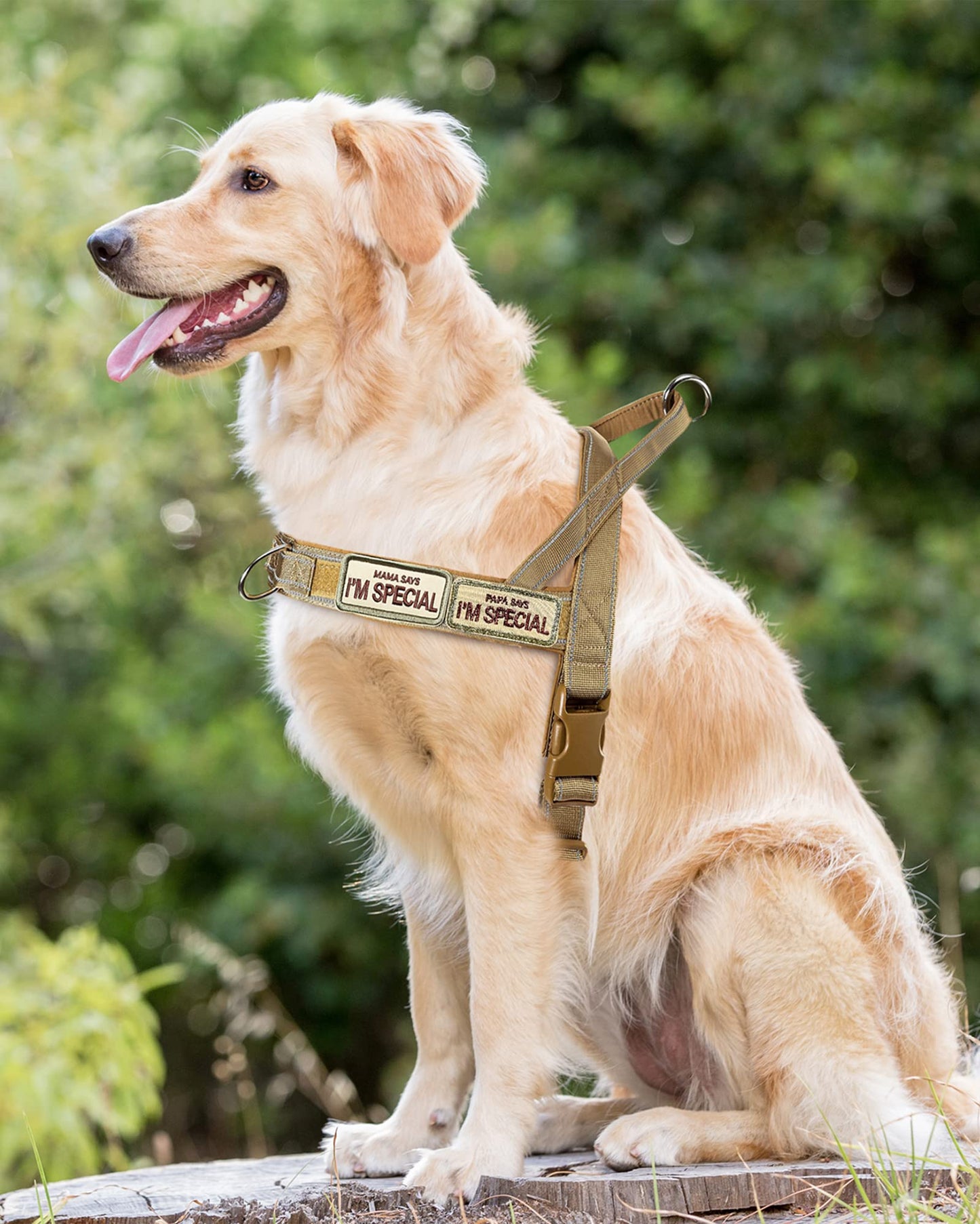 QIFBYFB No Pull Dog Harness for Medium Large Dogs, Reflective Escape Proof Adjustable No Pulling Harnesses Brown L