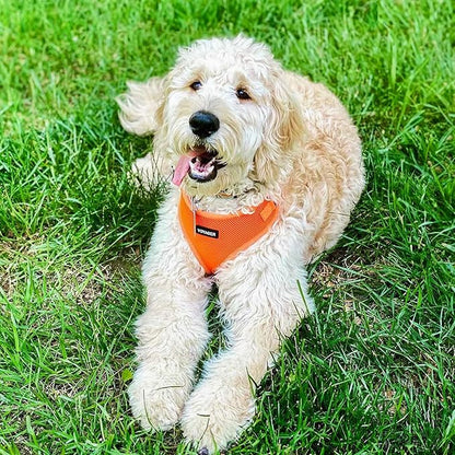 Voyager Step-in Pet Harness - All Weather Mesh, Adjustable Step in Harness for Cats and Dogs by Best Pet Supplies - Orange, L