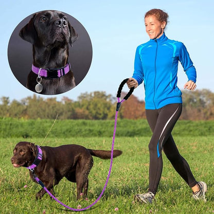 Ladoogo Reflective Dog Collar Padded with Soft Neoprene Breathable Adjustable Nylon Dog Collars for Small Medium Large Dogs (Small (Pack of 1), Purple Collar+Leash)