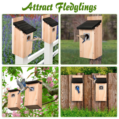 Dreyoo 2 Pack Bluebird Box Houses for Outside,1-1/2'' Entrance Hole Wooden Bird Houses with Metal Guard, Secure Latch,Fledgling Grooves,Air Vents for Bluebird Wren Swallow(Dark Wood)