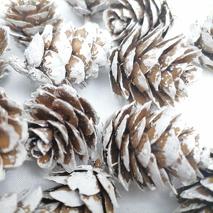 fypuda 160 PCS Mini Snow Pine Cones Christmas Thanksgiving Pine Cones Bulk White Christmas Small Tiny Pinecones Ornaments for Home Decoration DIY Crafts Wedding Xmas Tree Fall Winter Decor