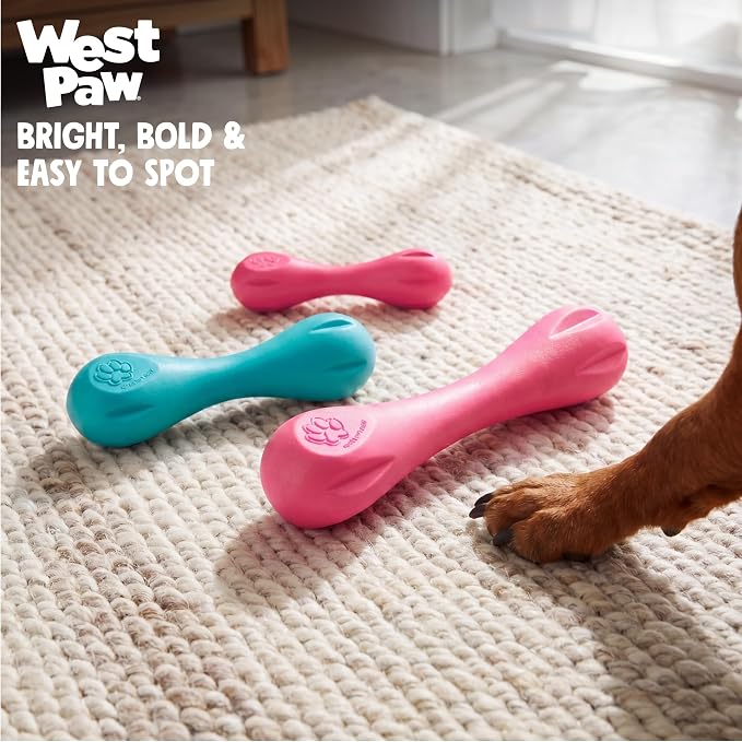 WEST PAW Zogoflex Hurley Dog Bone Chew Toy – Floatable Pet Toys for Aggressive Chewers, Catch, Fetch – Bright-Colored Bones for Dogs – Recyclable, Dishwasher-Safe, Non-Toxic, Large, Teal