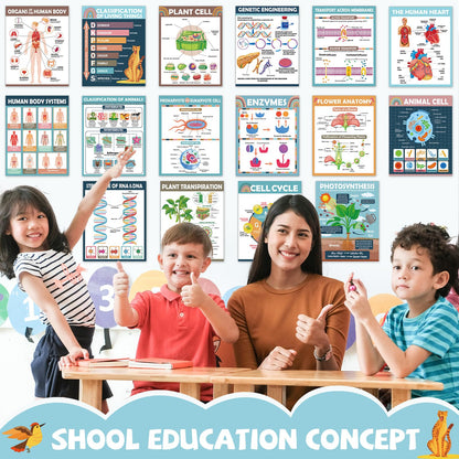 16Pcs Boho Science Posters for Classroom Middle School Supplies Biology Poster Classroom Decoration Life Science Posters Charts for Teachers High School Education Bulletin Wall Decor