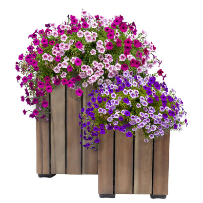 Sunnydaze Indoor/Outdoor Wooden Planter Boxes - 2 Acacia Wood Square Plant Pots with Plastic Liners - Anthracite Stain
