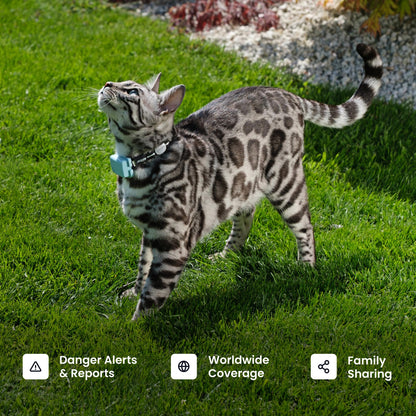Tractive Smart Cat GPS Tracker | Real-Time Location & Wellness Monitoring for Cats 6.5 lbs+ | Territory & Location History | Up to 5-Day Battery | Breakaway Collar Included (Mint)