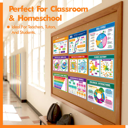 17 Laminated Biology Posters, Human Body System, Cell Anatomy, DNA, Photosynthesis, Educational Science Charts For Middle & High School, Learning Tool For Classroom, Bulletin Board, Room, 11”x16”