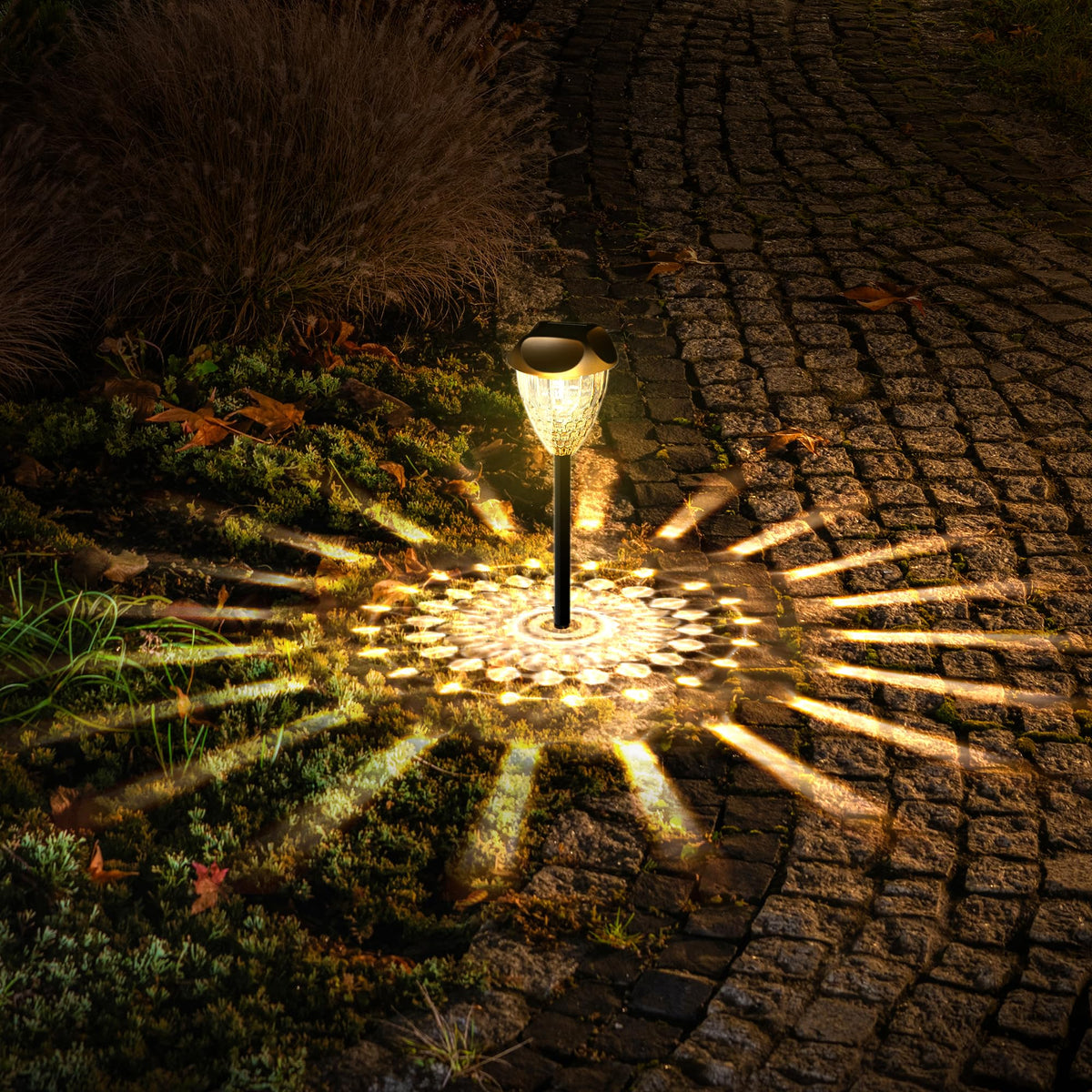 Ensenior 12-Pack Solar Garden Lights, Warm White LED, Auto ON/OFF, Waterproof, Plastic, Model CP3-10CM-30K-12-BL-ZY-M02