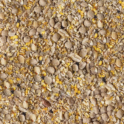 Kaytee Seed & Suet No Mess Peanut 10 Pounds