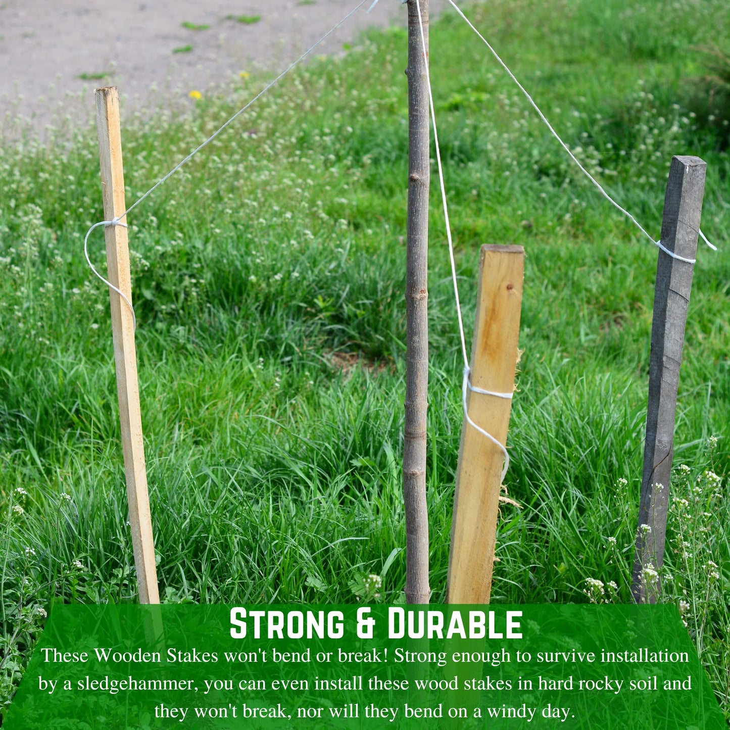Farm Plastic Supply - 2 Foot Wooden Stakes - Wooden Garden and Sign Posts, Silt Fence, Wood Sticks, Tomato Stakes, Bundle, Construction, Fence (5 Pack)