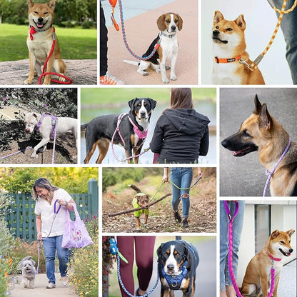 Blueberry Pet Dog Leash - Puppy Essentials with Comfortable Neoprene Handle | Dog Leashes for Large Dogs Heavy Duty | 4ft Strong Rope Leash in Rouge Red, Durable & Eco-Friendly
