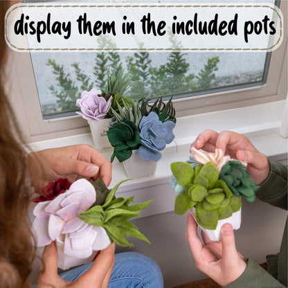 Hapinest DIY Potted Felt Succulents Craft Kit for Adults Women Teens and Seniors, Arts & Crafts for Ages 6 Years and Up