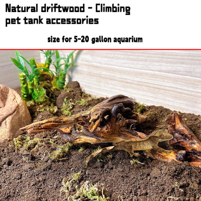 Hamiledyi 5PCS Aquarium Driftwood,3.5-7in Natural Coral Wood,Fish Tank Driftwood Assorted Branches Reptile Tank Decor Aquarium Decoration