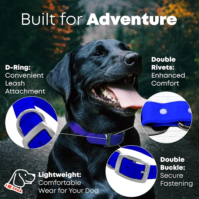 Regal Dog Products Small Blue Waterproof Dog Collar and Leash Set | Heavy Duty Double Buckle & D Ring - 5'ft Leash | Adjustable Biothane Dog Collar | Chew Resistant Waterproof Collar for Dogs