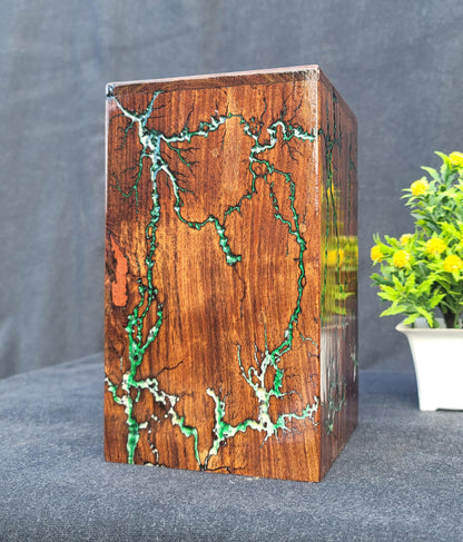 Handmade Wooden urn for Ashes | Personalized urns for Ashes | Lichtenberg Figure Cremation Box | Wooden urn | Wooden urn for Dog/Pet Ashes | Custom urn Box (Large)