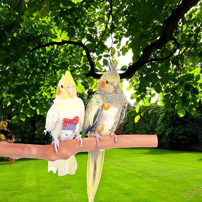 2Pcs Bird Diapers Bird Harness Flight Suits Diapers with 80 Inch Flying Leash Parrot Nappy Washable Cute Urine Wet Suit for Cockatiel Conure Macaw Budgies Parakeet-Rabbit&Kitten,M