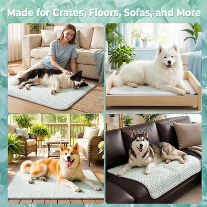 PatiencET Large Dog Cooling Mat, 32 x 44 in No-Gel Cooling Pad for Dogs, Cool Touch Pet Mat with Ice-Dot Texture, Washable Summer Dog Mat for Crate, Kennel, Floor, Sofa, Car, Light Green