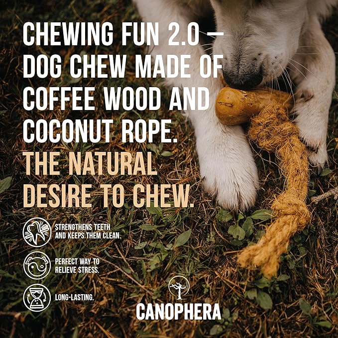 Canophera Dog CHEW Made of Coffee Wood and Coconut Rope (Medium)