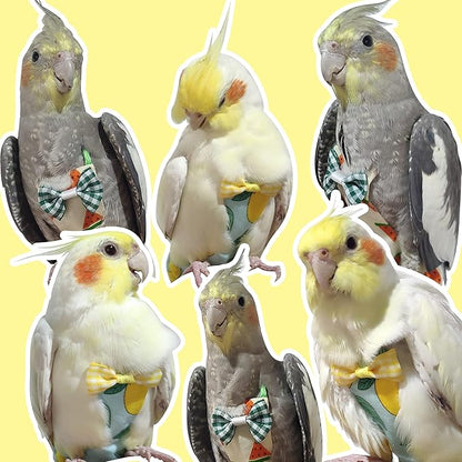 VANFAVORI Bird Diaper Harness Flight Suit Clothes with 80 Inch Flying Leash Rope for Parrots Conure Cockatiel Pet Birds Weight 80-105 Grams, M Size Lemon, Including A Cotton Pad