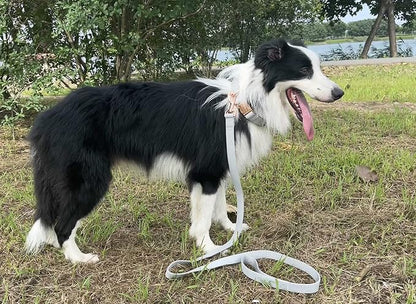 Dog Collar and Leash Set.Soft and Easy to Clean Vegan Leather with Rose Gold Metal Buckle for Small Medium Large Dogs (Grey, L(15.4”-24.8“)