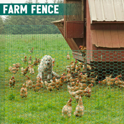GlikCeil 12 in X 200 ft Chicken Wire Fencing Metal Floral Chicken Wire Mesh for Crafts Poultry Garden, 1 Inch Hexagonal Galvanized Hardware Netting for Poultry Coop Barrier Rabbit Cage (Green)