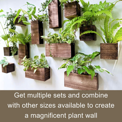 LaLaGreen Wood Planter Box for Plants (4 Pack) Wooden Hanging Wall Planters for Indoor Plant Holder Vase for Dried Flowers, Modern Living Room Bedroom Kitchen Home Office Decor