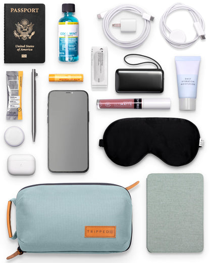 Tech Bag Organizer - Small Electronics Organizer Pouch for Travel - Premium Travel Case with Leather Accents - Mesh Pocket for Cables, Cords and Chargers (Dusty Teal)