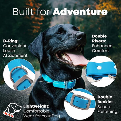 Regal Dog Products Medium Light Blue Dog Collar with Heavy Duty Double Buckle & D Ring | Vinyl Coated, Custom Fit, Adjustable Biothane Dog Collar Chew Resistant Waterproof Collar for Dogs