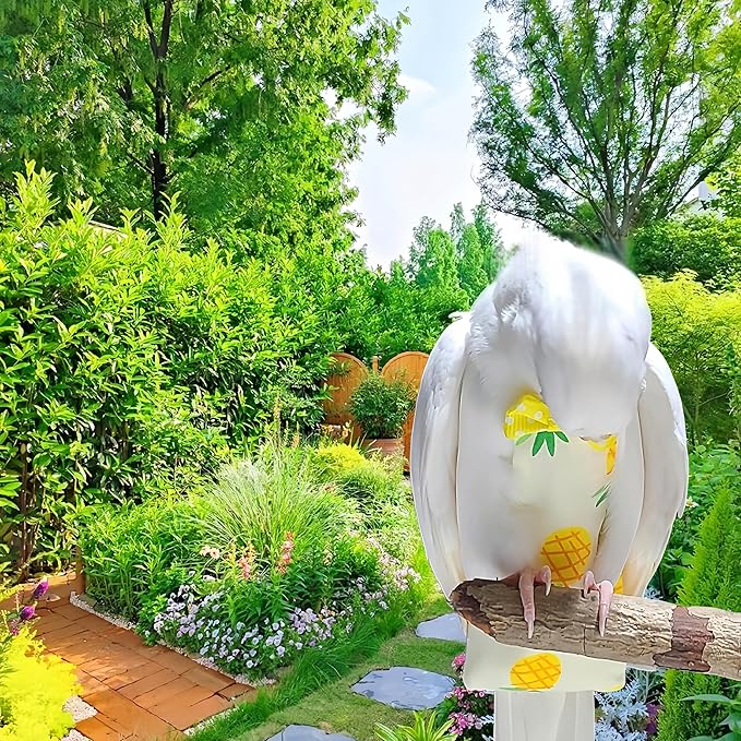 2Pcs Bird Diapers Bird Harness Flight Suits Diapers with 80 Inch Flying Leash Parrot Nappy Washable Cute Urine Wet Suit for Cockatiel Conure Macaw Budgies Parakeet-Pineapple&Kitten,M